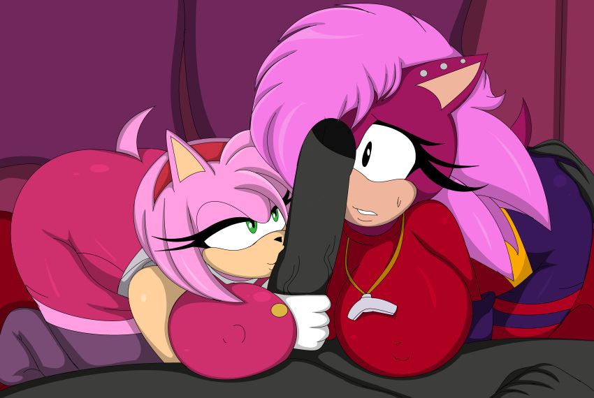 1boy 2girls amy_rose anthro boomerang_(tv_network) cartoon_network cbear624 commission commissions_open crossover dic_entertainment female male sega sexy sonia_the_hedgehog sonic_boom sonic_the_hedgehog_(series) sonic_underground teasing