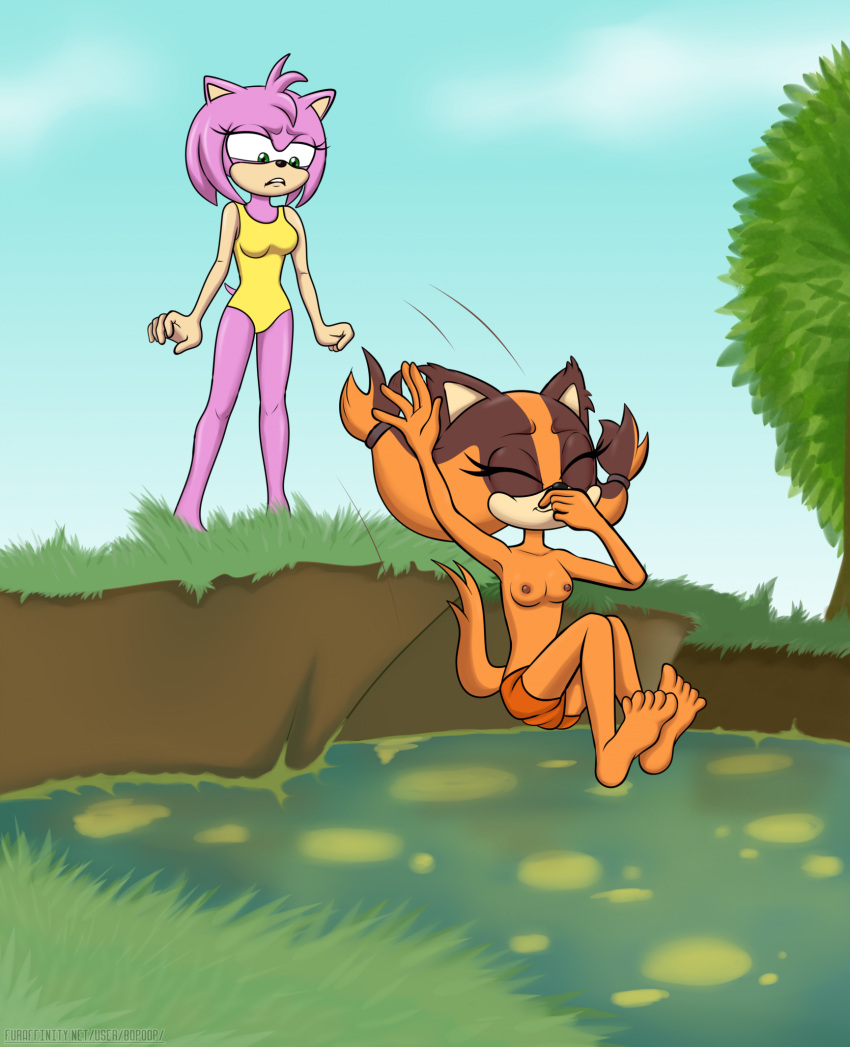 2girls amy_rose boomerang_(tv_network) bopoop cartoon_network commission dirty diving fanart female jump lake mobian mobians mud river sega sonic_boom sonic_the_hedgehog_(series) sticks_the_jungle_badger swamp swimming swimsuit water